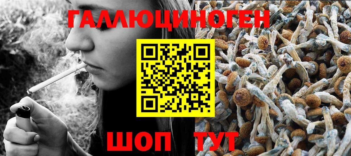 Псилоцибиновые грибы Psilocybine cubensis Энгельс
