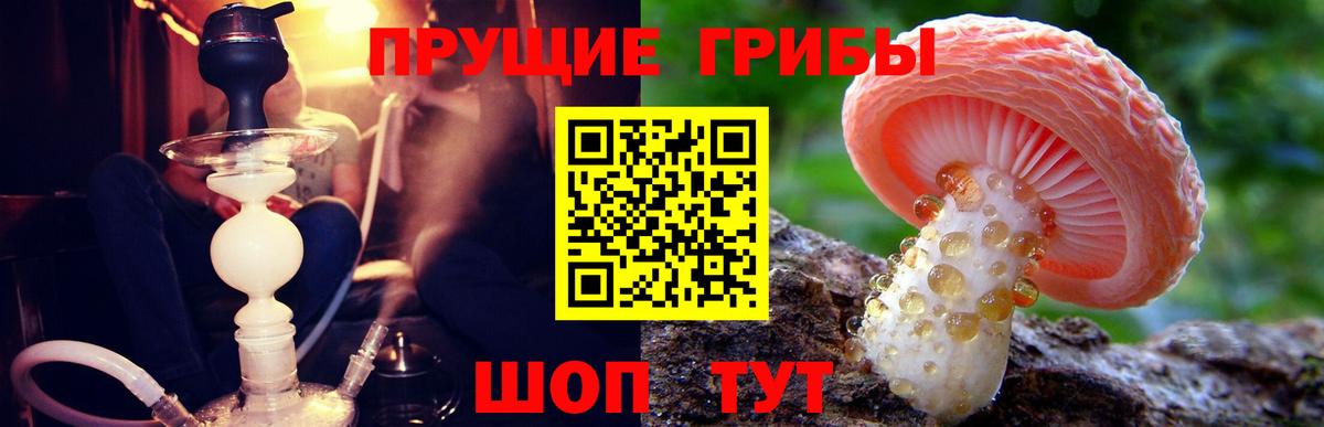 Псилоцибиновые грибы MAGIC MUSHROOMS  Псилоцибиновые грибы Magic Shrooms  купить закладку  Энгельс  Вход с VPN 
